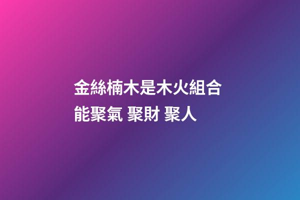 金絲楠木是木火組合 能聚氣 聚財 聚人